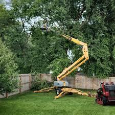 Artificial Turf Installation in Green Village, NJ