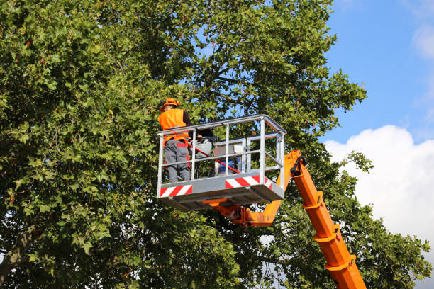 Best Commercial Tree Services  in Green Village, NJ