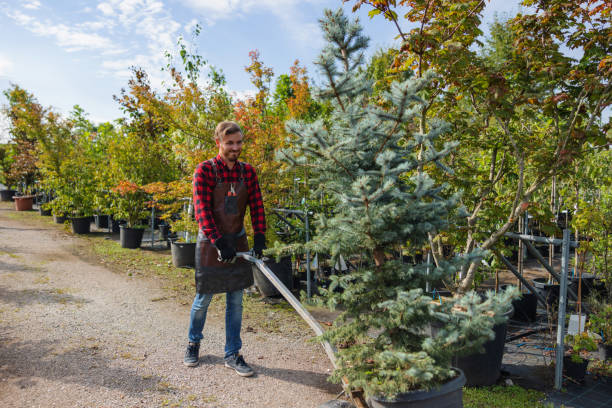 Best Weed Control  in Green Village, NJ